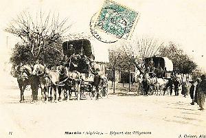Oran- SDV- 6781-Marnia 281